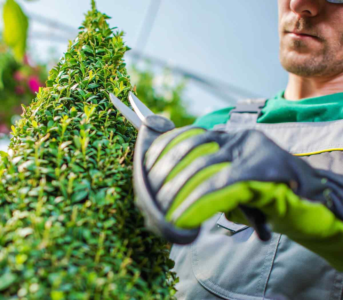 inner_02 https://www.colincanhelp.com/wp-content/uploads/2019/06/inner_02.jpg