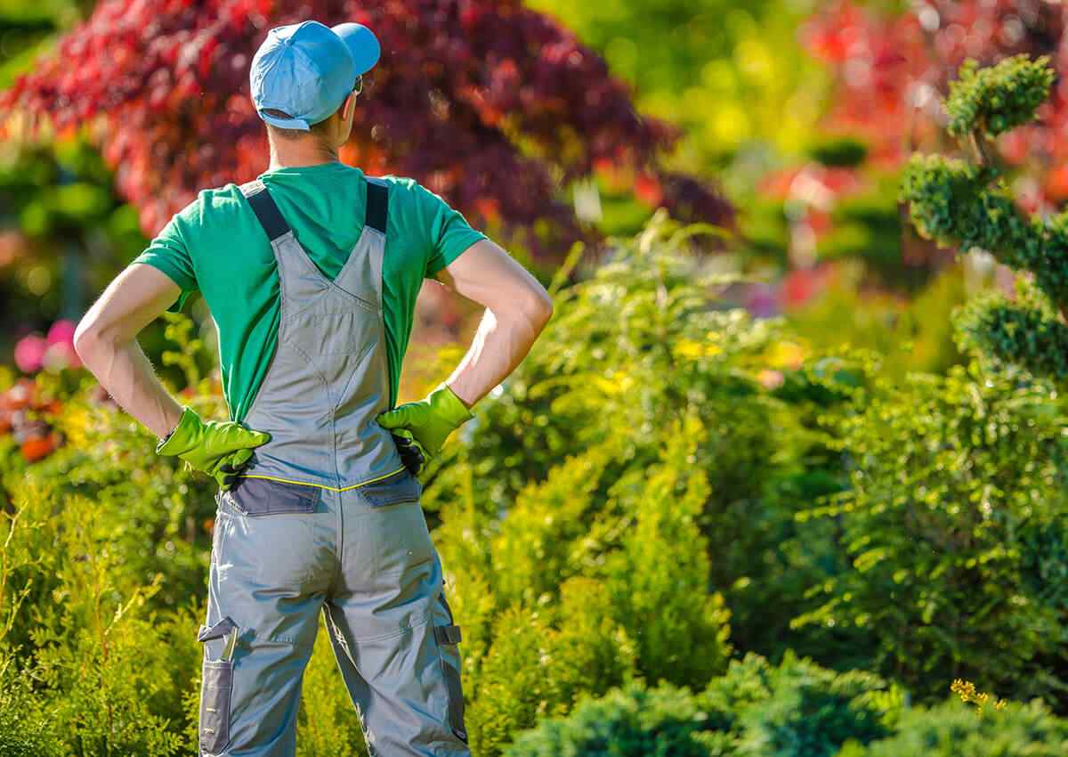 inner_image_04 https://www.colincanhelp.com/wp-content/uploads/2019/06/inner_image_04.jpg