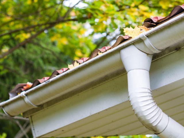 Homeowner Guide to Gutter Cleaning
