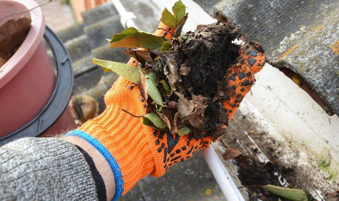 Top 5 Benefits of Regular Gutter Cleaning