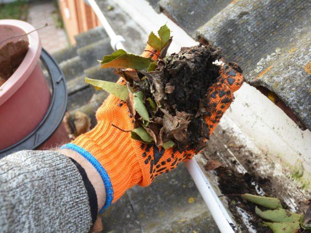 Top 5 Benefits of Regular Gutter Cleaning