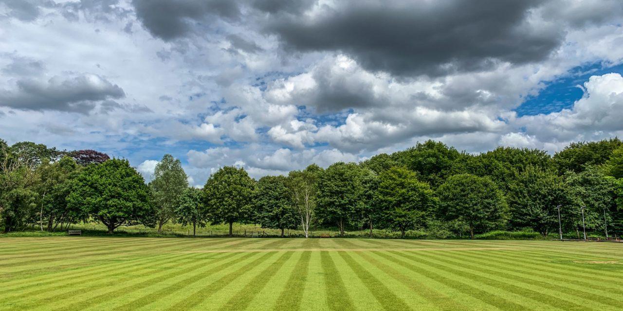 What Should I Be Doing for My Lawn in June to Keep It Green and Healthy?