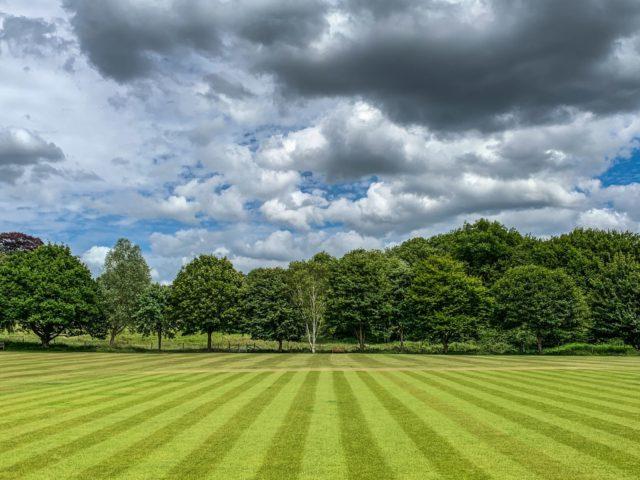 What Should I Be Doing for My Lawn in June to Keep It Green and Healthy?