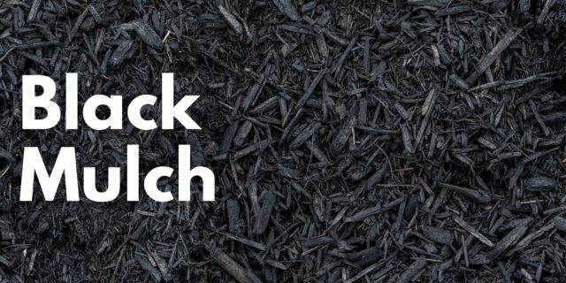 https://www.colincanhelp.com/wp-content/uploads/2023/03/Black-Mulch-640x320.jpg