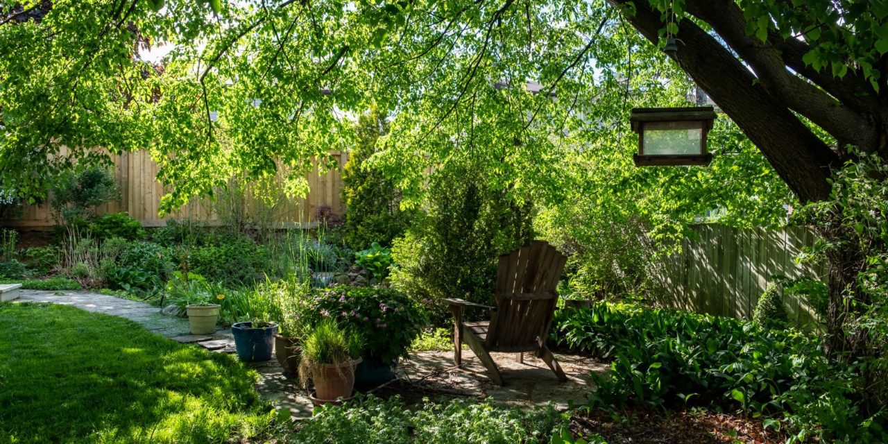 Transforming Your Yard into a Low-Maintenance Oasis