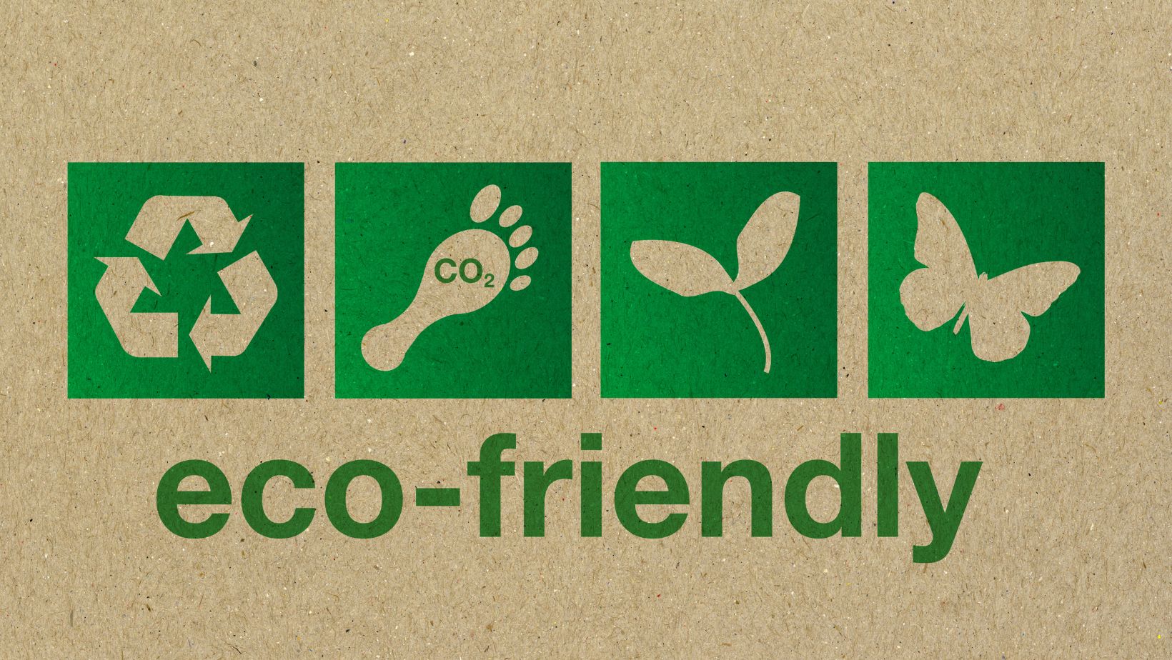 Creating an Eco-Friendly Landscape