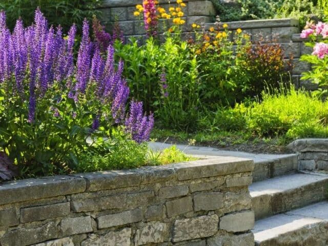 10 Essential Landscaping Tips for New Home Owners