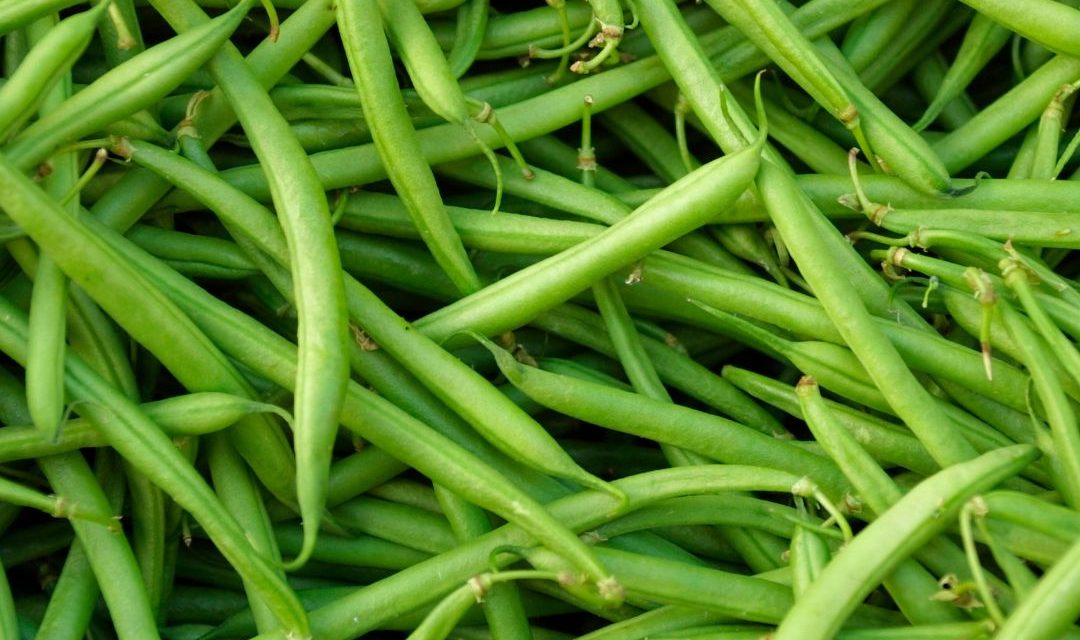 Can You Still Plant Vegetables in June? (Yes — Here’s What to Try)
