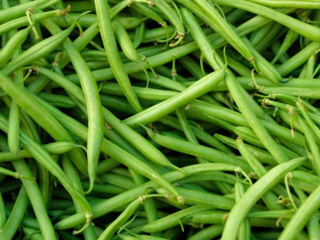 Can You Still Plant Vegetables in June? (Yes — Here’s What to Try)