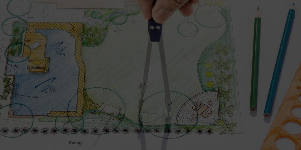 10 Steps to a Beginner and Budget Friendly Garden