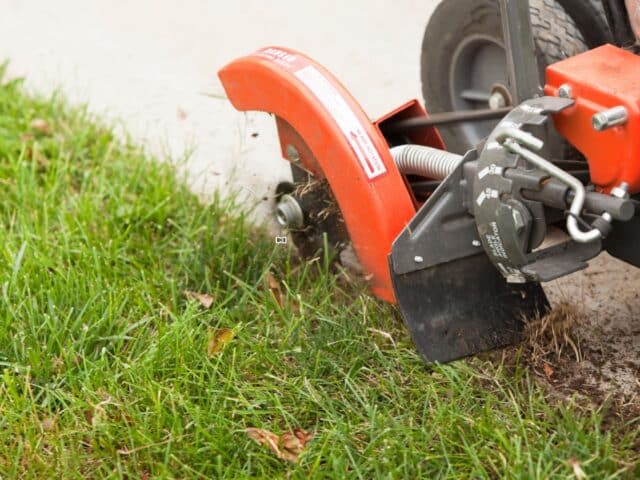 Best Landscape Edging Materials: Pros & Cons of Every Type