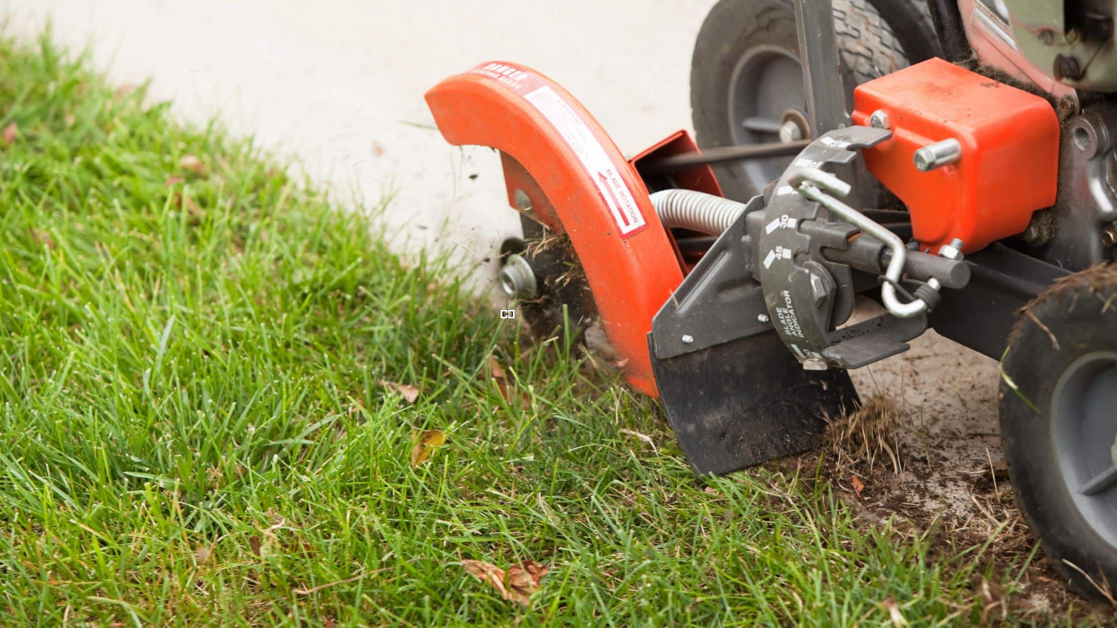 Close-up of a lawn edger trimming grass along a sidewalk.