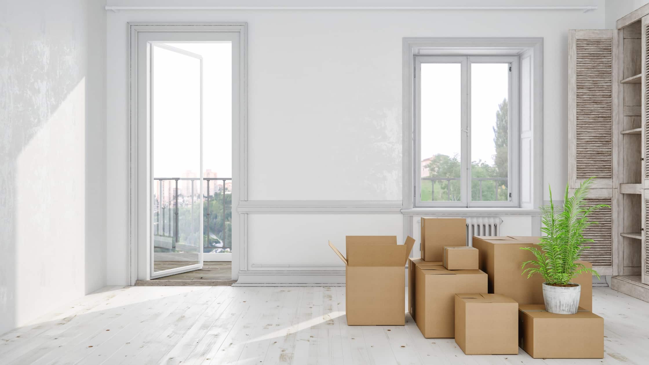 Bright room with stacked cardboard boxes, a potted plant, and open windows showcasing a clean, minimalist estate cleanout.