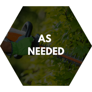 As-needed hedge trimming service featuring a professional using an electric hedge trimmer on vibrant green foliage.