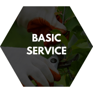 Basic bush trimming service featuring gloved hands using pruning shears to cut small branches and leaves