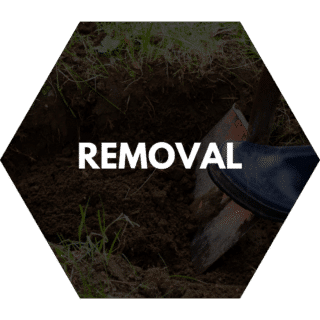 Bush removal service featuring a shovel digging into soil to uproot a plant or bush.