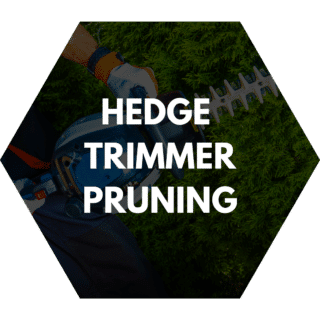 Professional hedge trimmer pruning service featuring an electric hedge trimmer shaping dense green bushes.