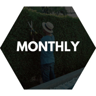 Monthly hedge trimming service showing a professional gardener using manual shears to shape a tall green hedge