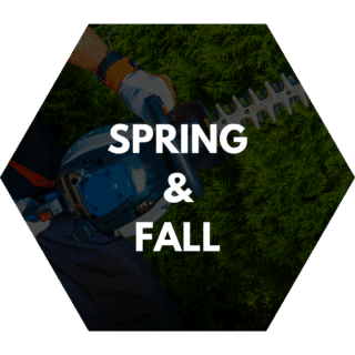 Spring and Fall yard maintenance with a focus on hedge trimming, featuring a person using an electric hedge trimmer near evergreen bushes.