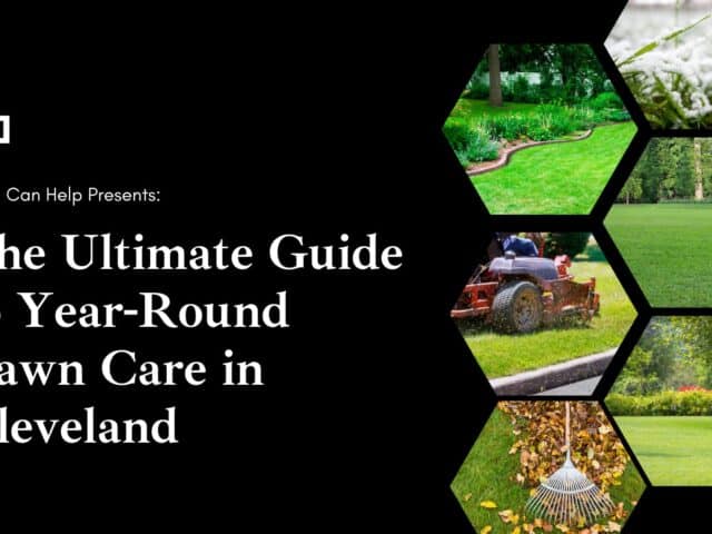 Ultimate Cleveland Lawn Care Guide