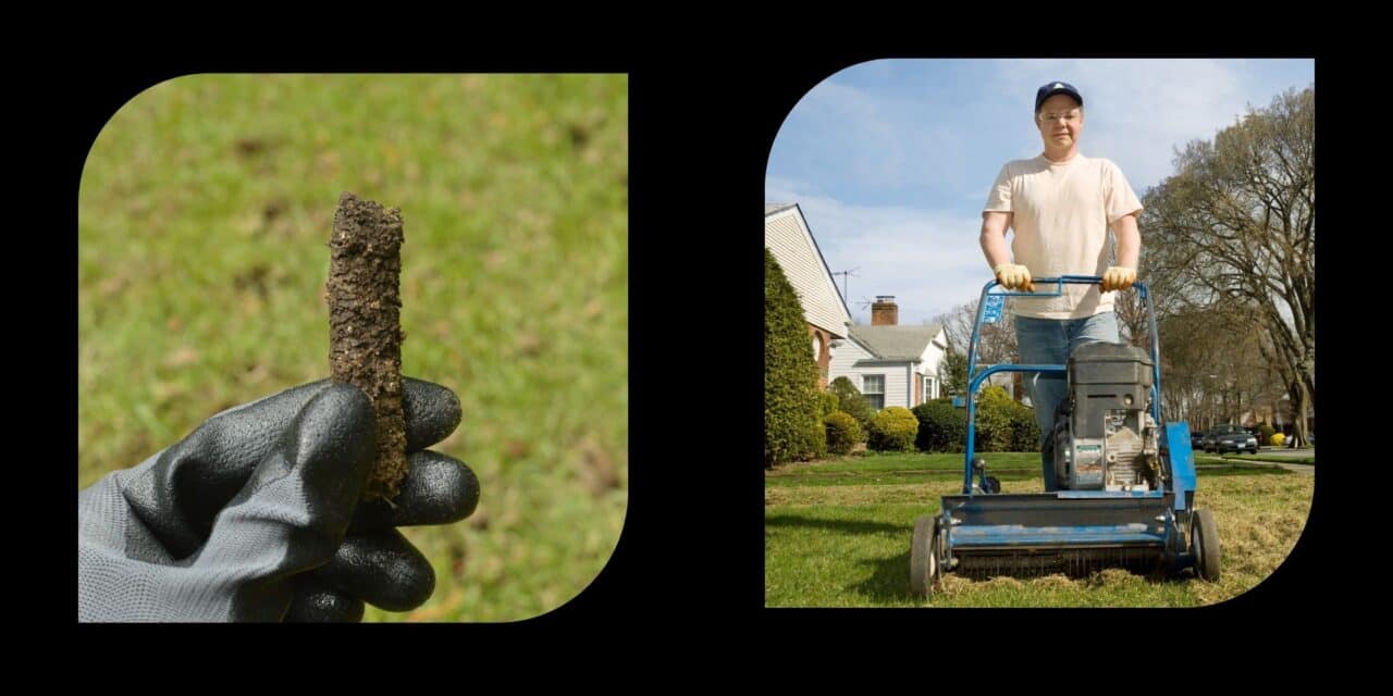 Aeration vs. Dethatching: Which Does Your Lawn Need?