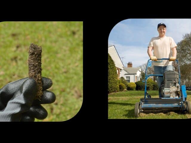 Aeration vs. Dethatching: Which Does Your Lawn Need?