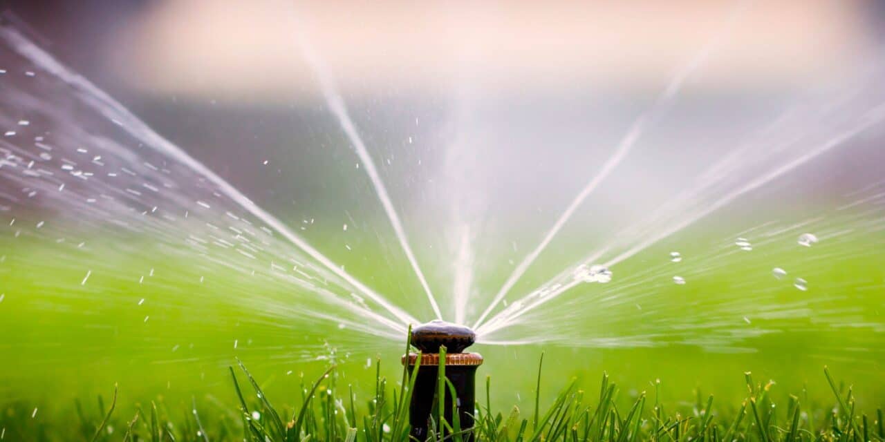 Watering Schedule for New Grass After Overseeding
